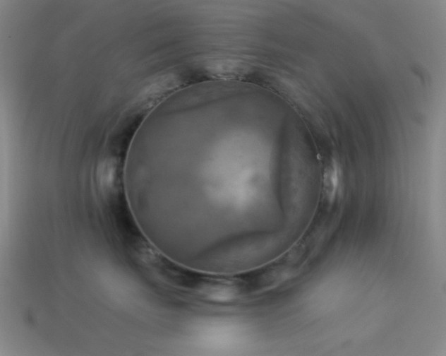 X0000113340671200909151132