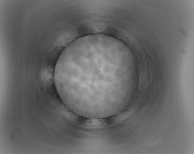 X0000113340672200909151132