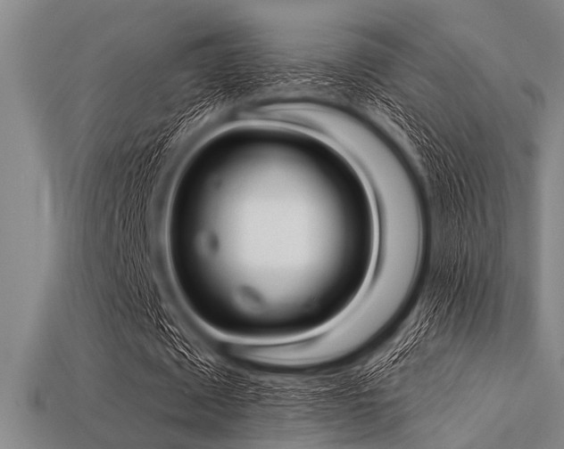 X0000113340673200909151132