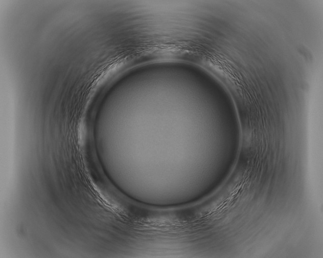 X0000113340674200909151132