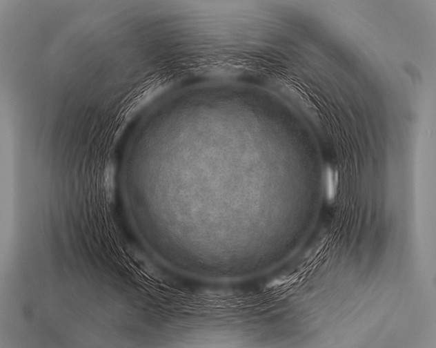 X0000113340675200909151132