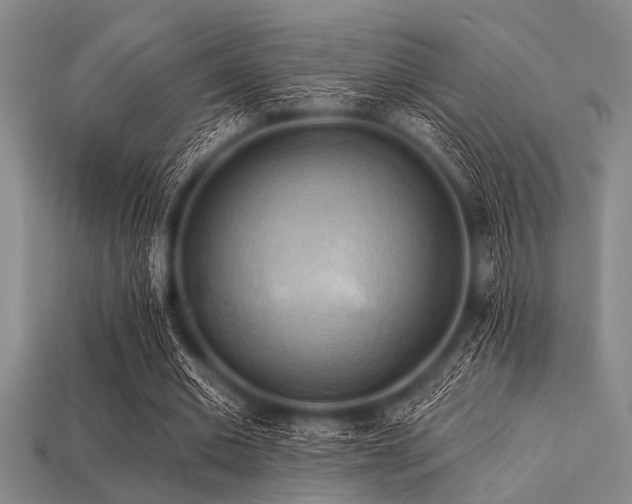 X0000113340677200909151132