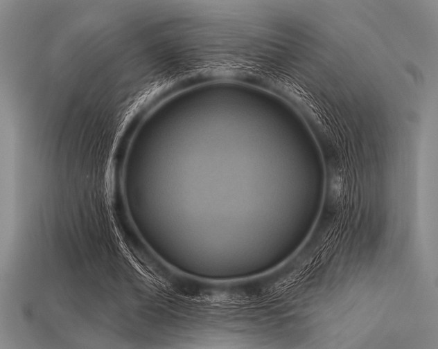 X0000113340678200909151131
