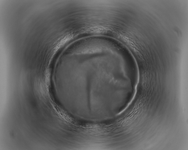 X0000113340679200909151131