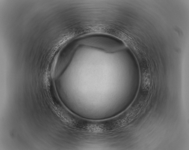 X0000113340680200909151131