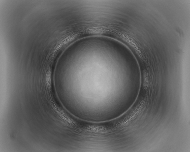X0000113340681200909151131