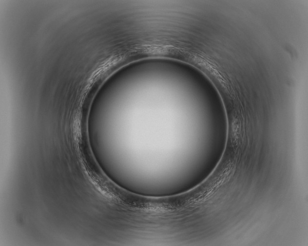X0000113340682200909151131