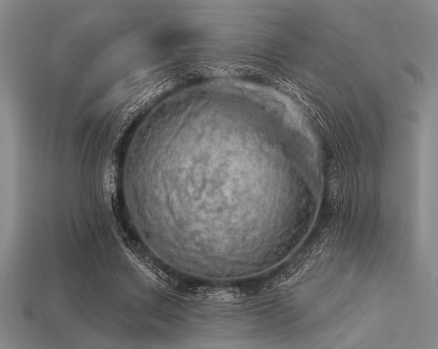 X0000113340683200909151131