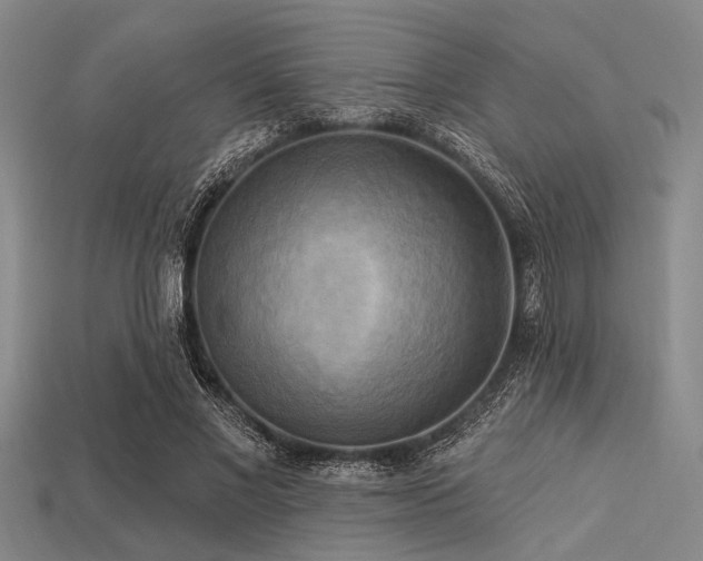X0000113340685200909151131