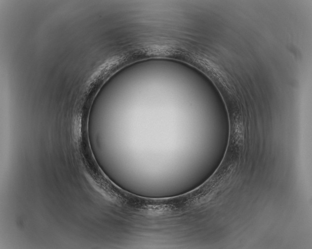 X0000113340686200909151131