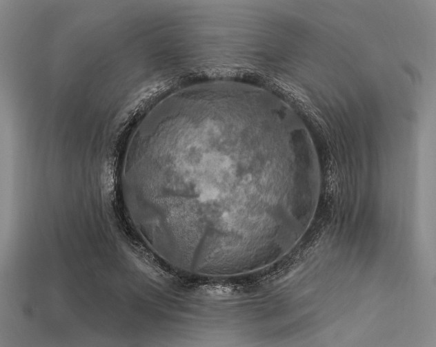 X0000113340687200909151131