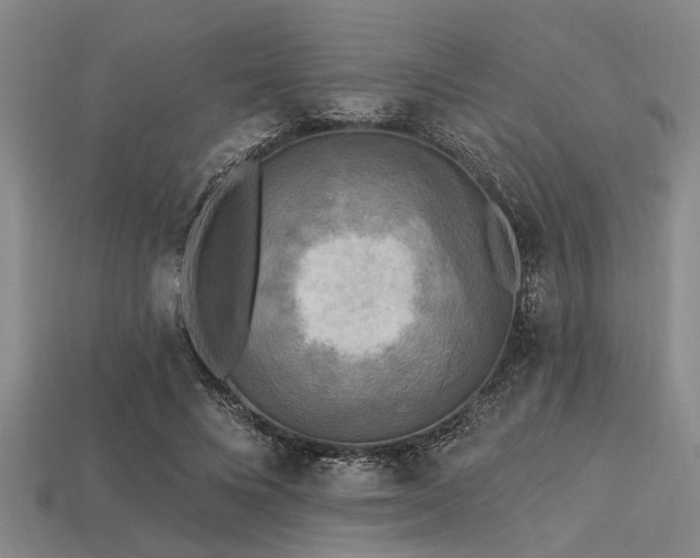 X0000113340688200909151131