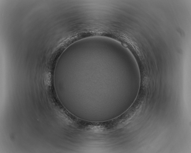 X0000113340689200909151131