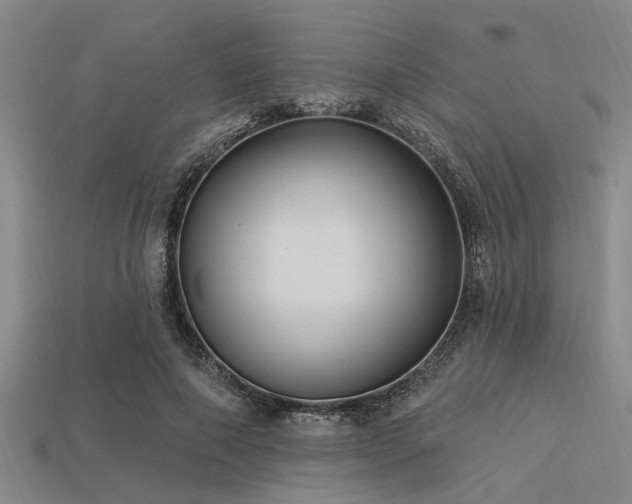 X0000113340690200909151131