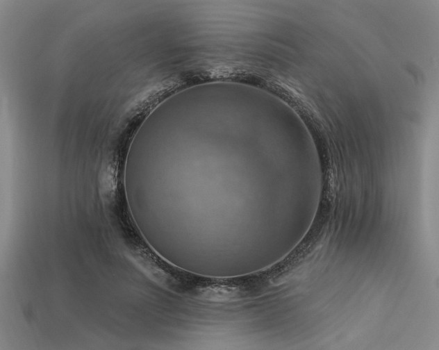 X0000113340691200909151131