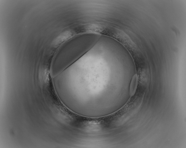 X0000113340692200909151131