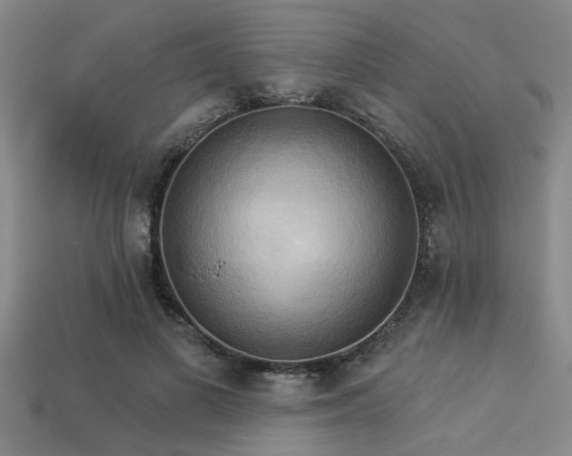 X0000113340693200909151131