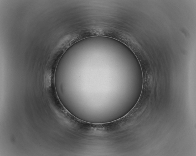 X0000113340694200909151131