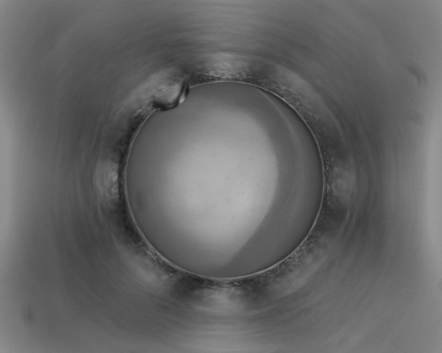 X0000113340696200909151131