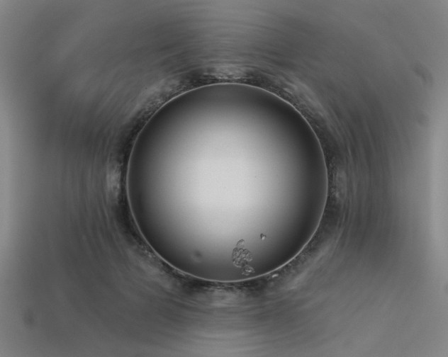 X0000113340697200909151131