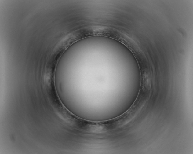 X0000113340698200909151131