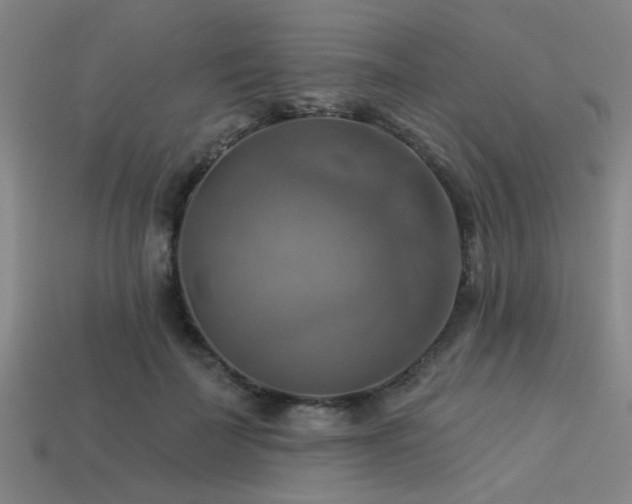 X0000113340699200909151131