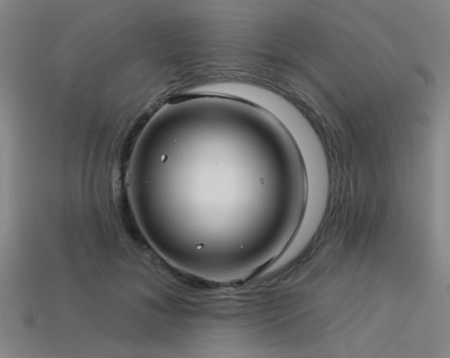 X0000113340700200909151131