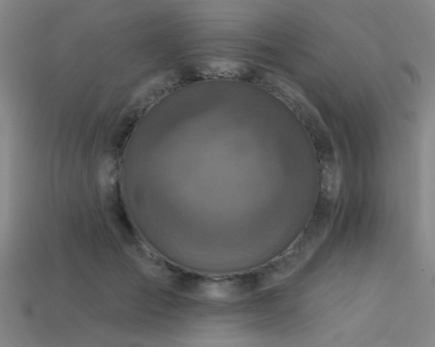 X0000113340701200909151131