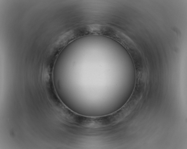 X0000113340702200909151131