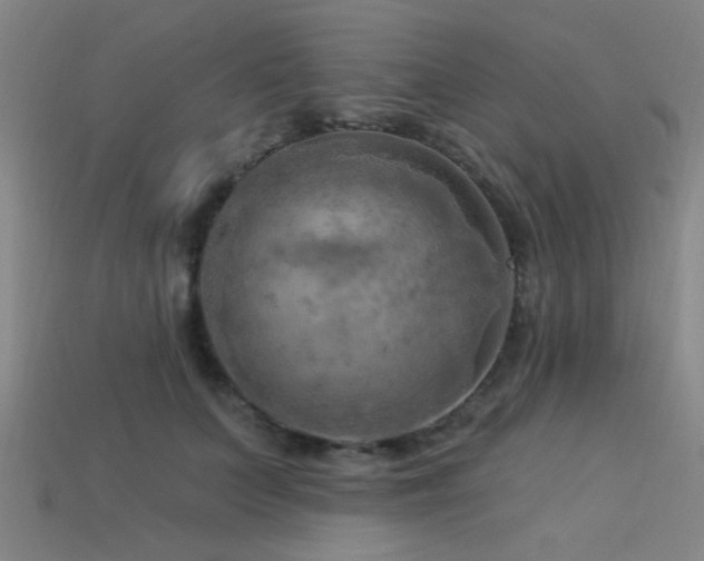 X0000113340703200909151131