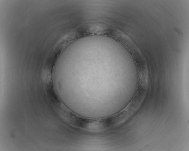 X0000113340705200909151131
