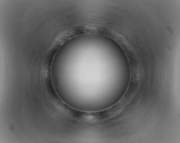 X0000113340706200909151131