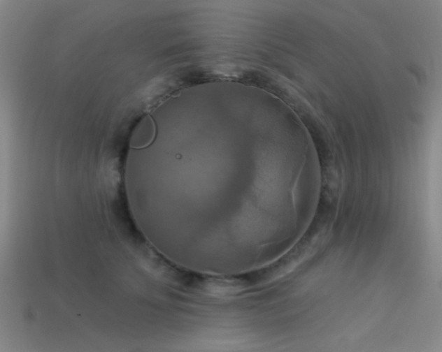X0000113340707200909151131