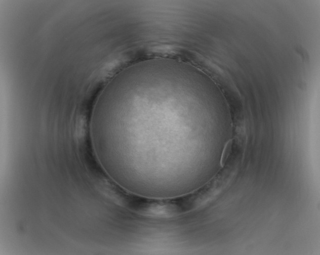 X0000113340708200909151131