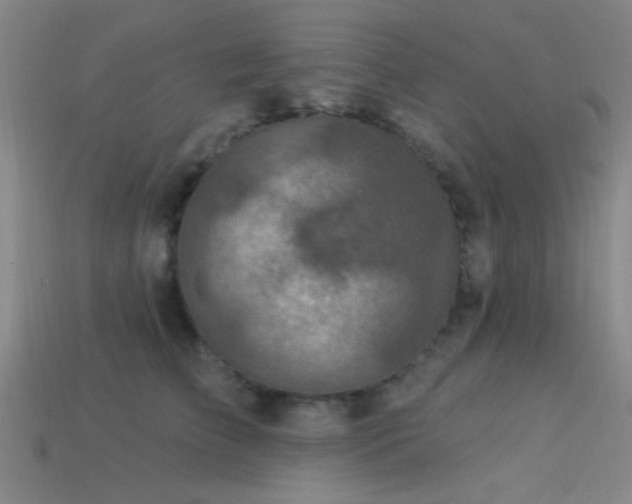 X0000113340709200909151131