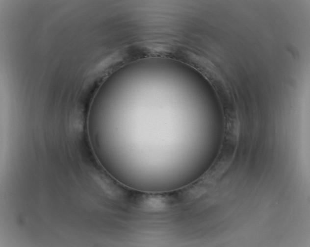 X0000113340710200909151131