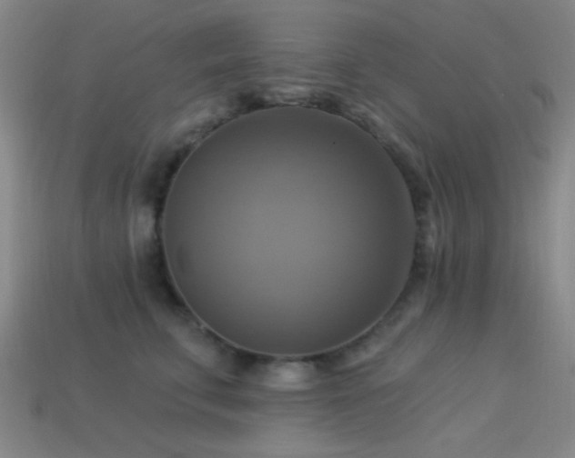 X0000113340711200909151131
