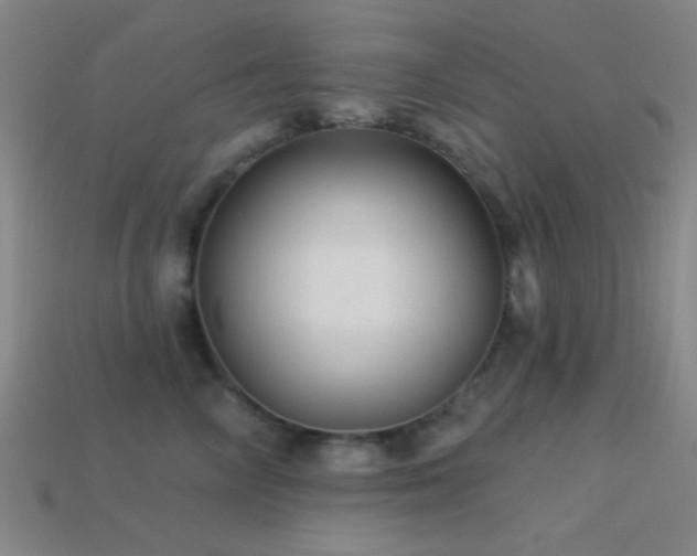 X0000113340714200909151131