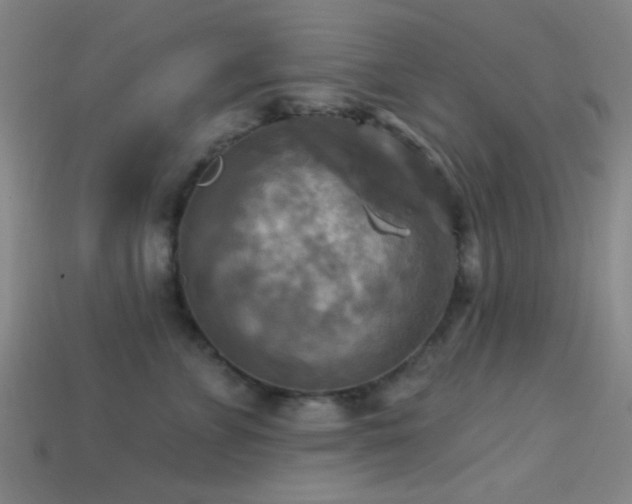 X0000113340715200909151131