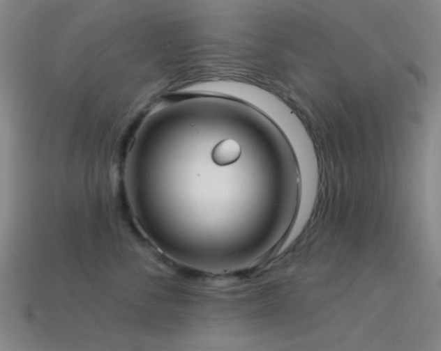 X0000113340716200909151131