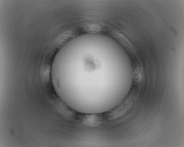 X0000113340717200909151131