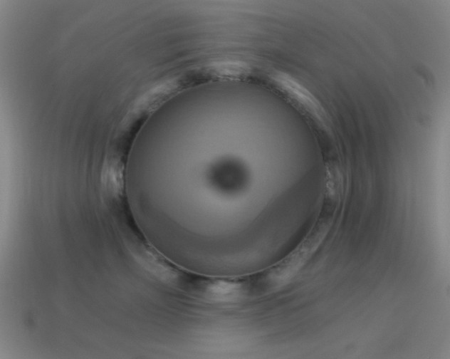 X0000113340718200909151131