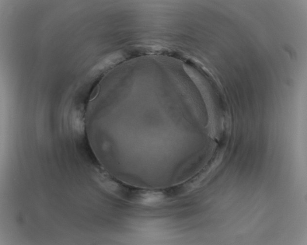 X0000113340719200909151131