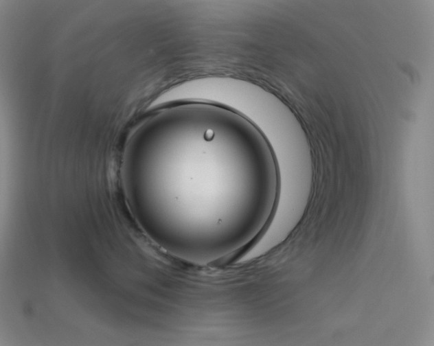 X0000113340720200909151131