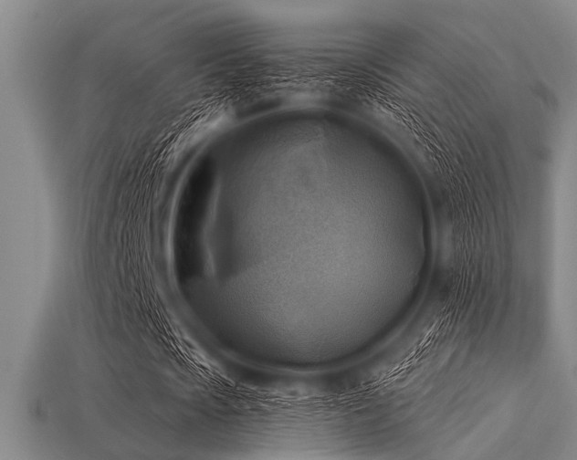 X0000113340721200909151130