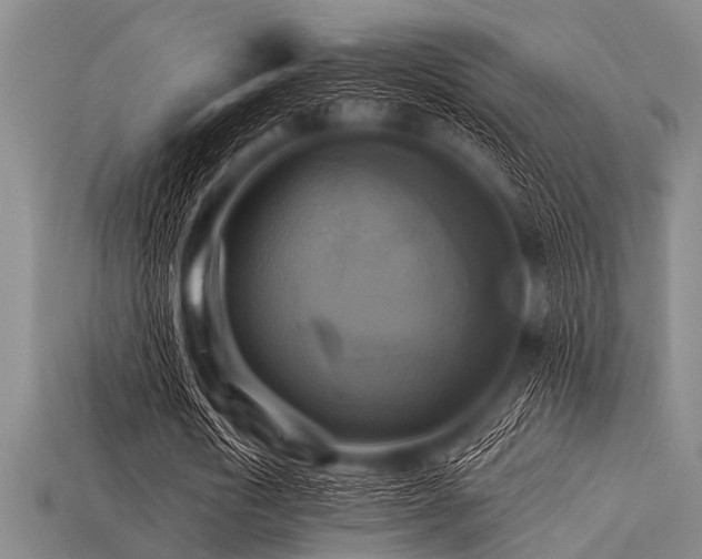 X0000113340722200909151130