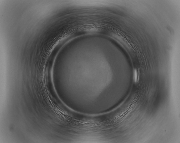 X0000113340723200909151130