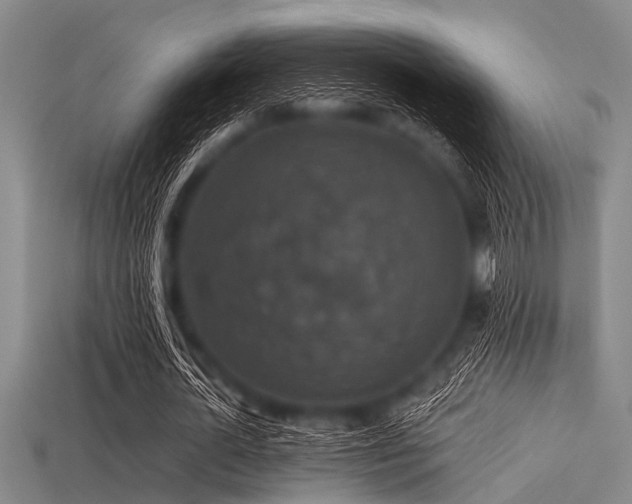 X0000113340724200909151130