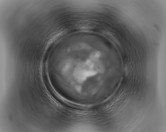 X0000113340725200909151130