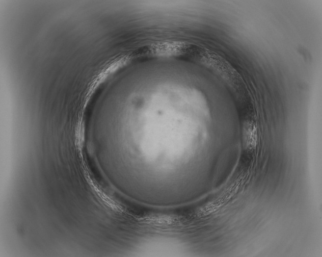 X0000113340726200909151130